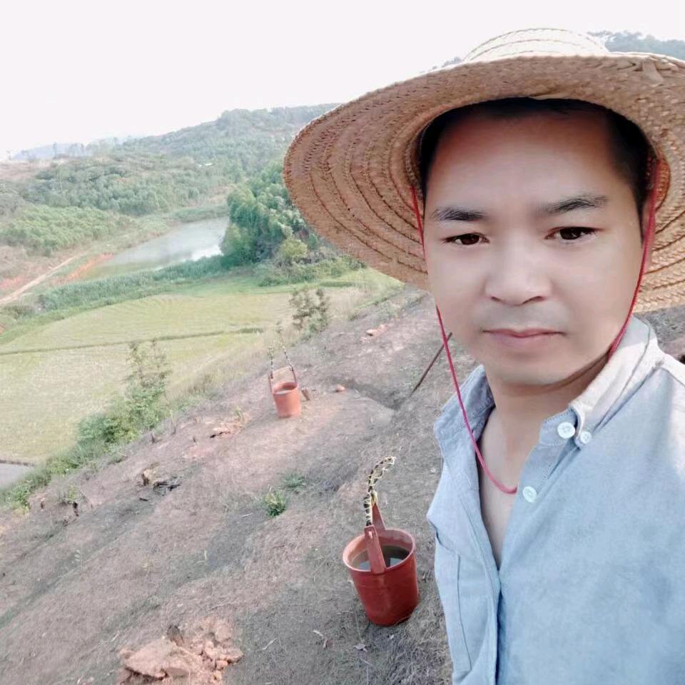 三农小吴