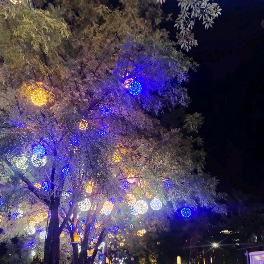 变🎄 成🍀 回🍃 忆💚