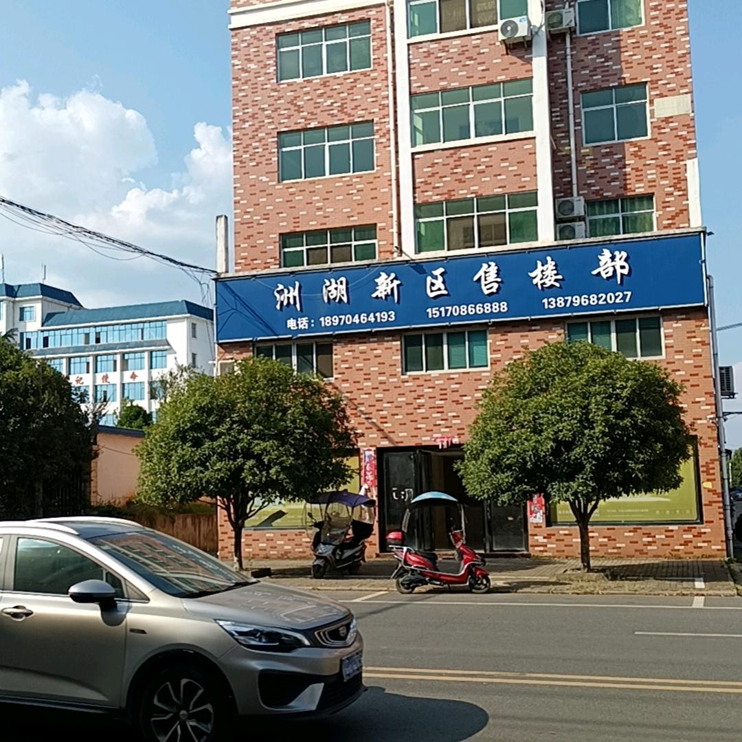 龙哥