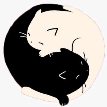 🐻