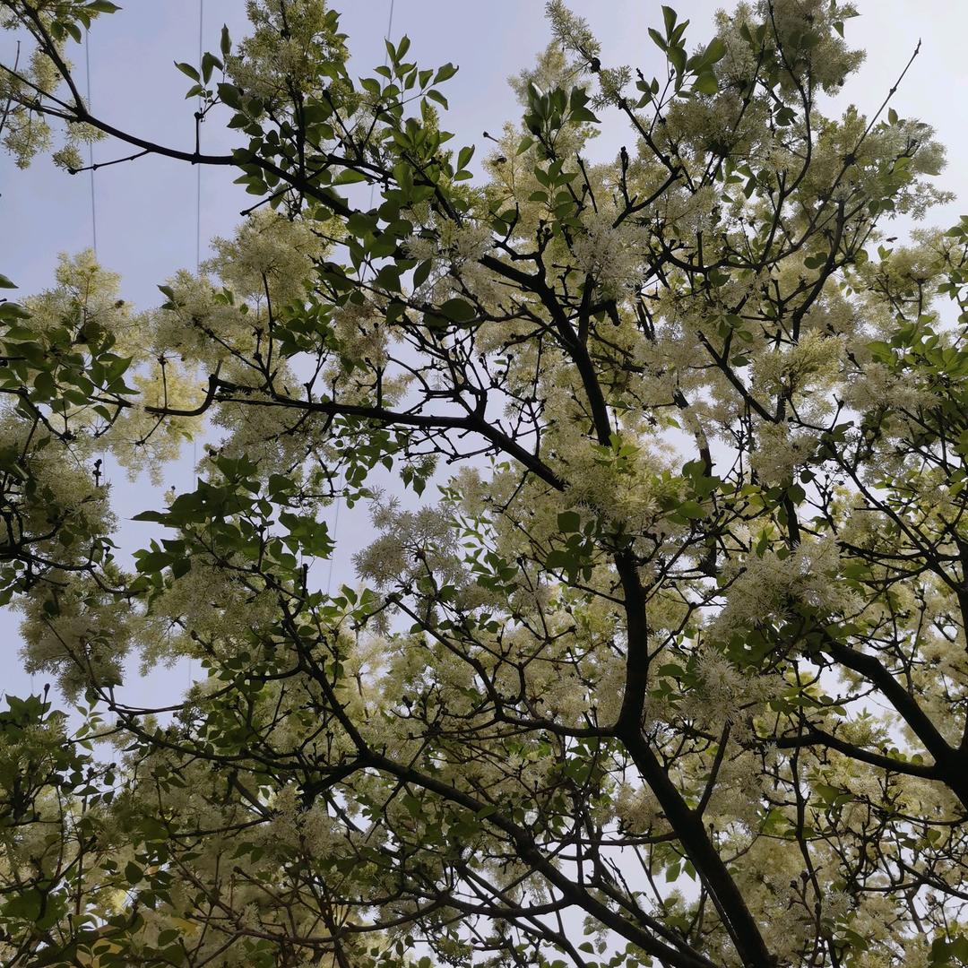 出门在外多喝酒少吃菜