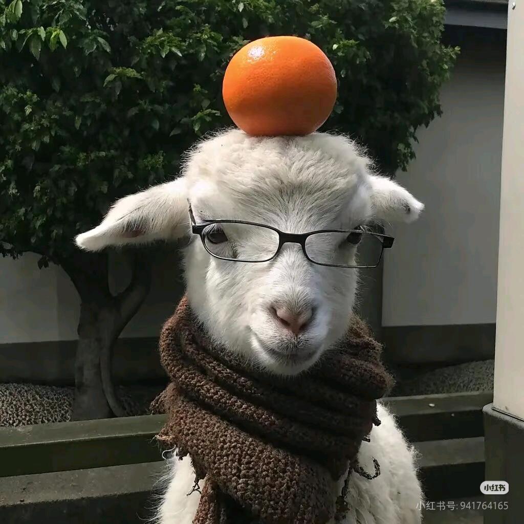 致某人