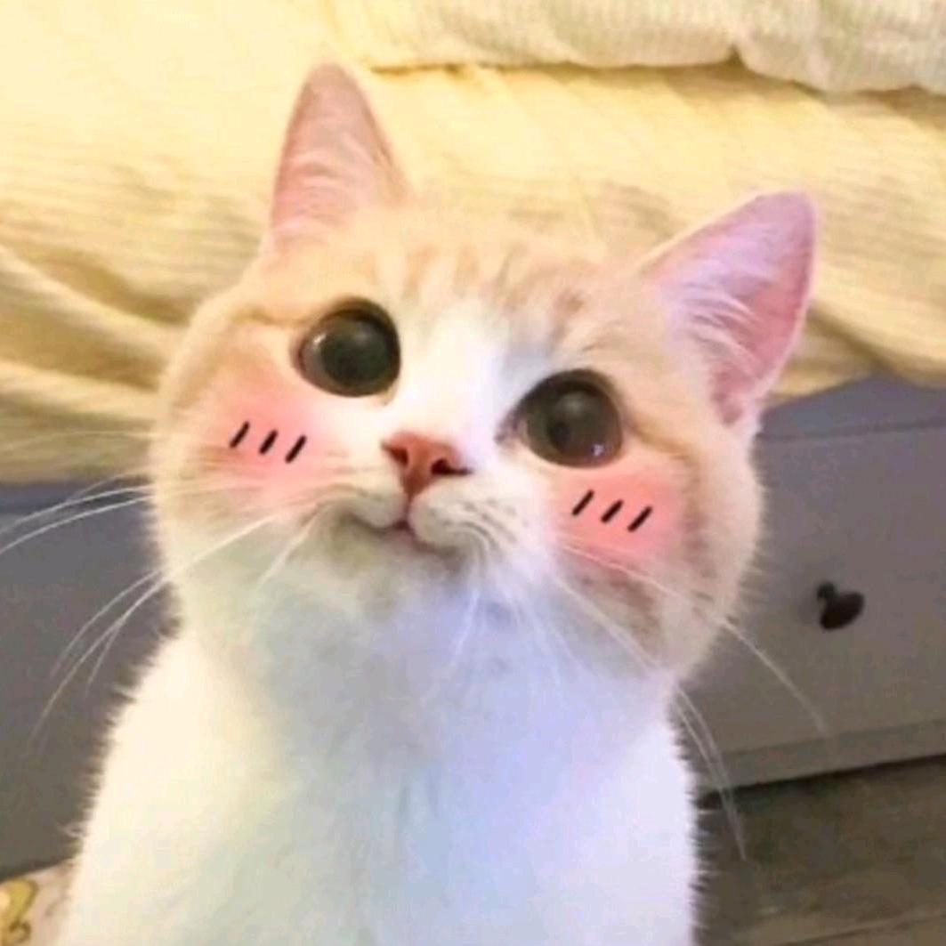 芯fei❀