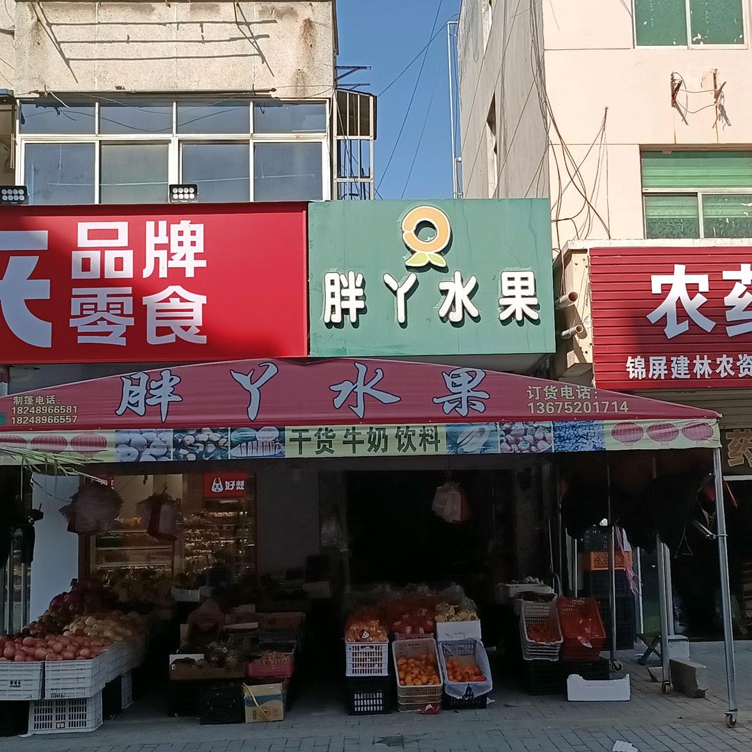 胖丫水果店