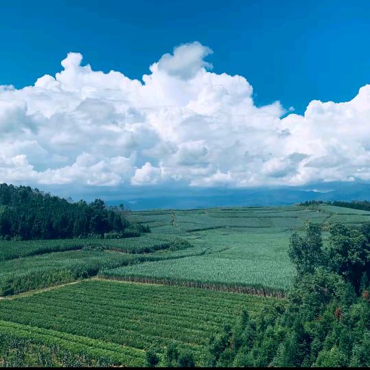 相信自己，好好爱家庭❤️❤️