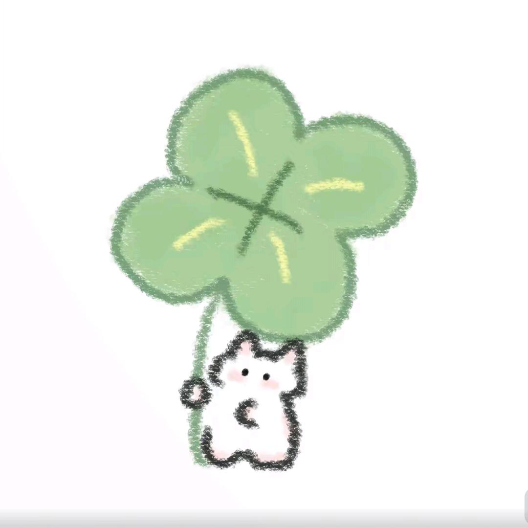枫