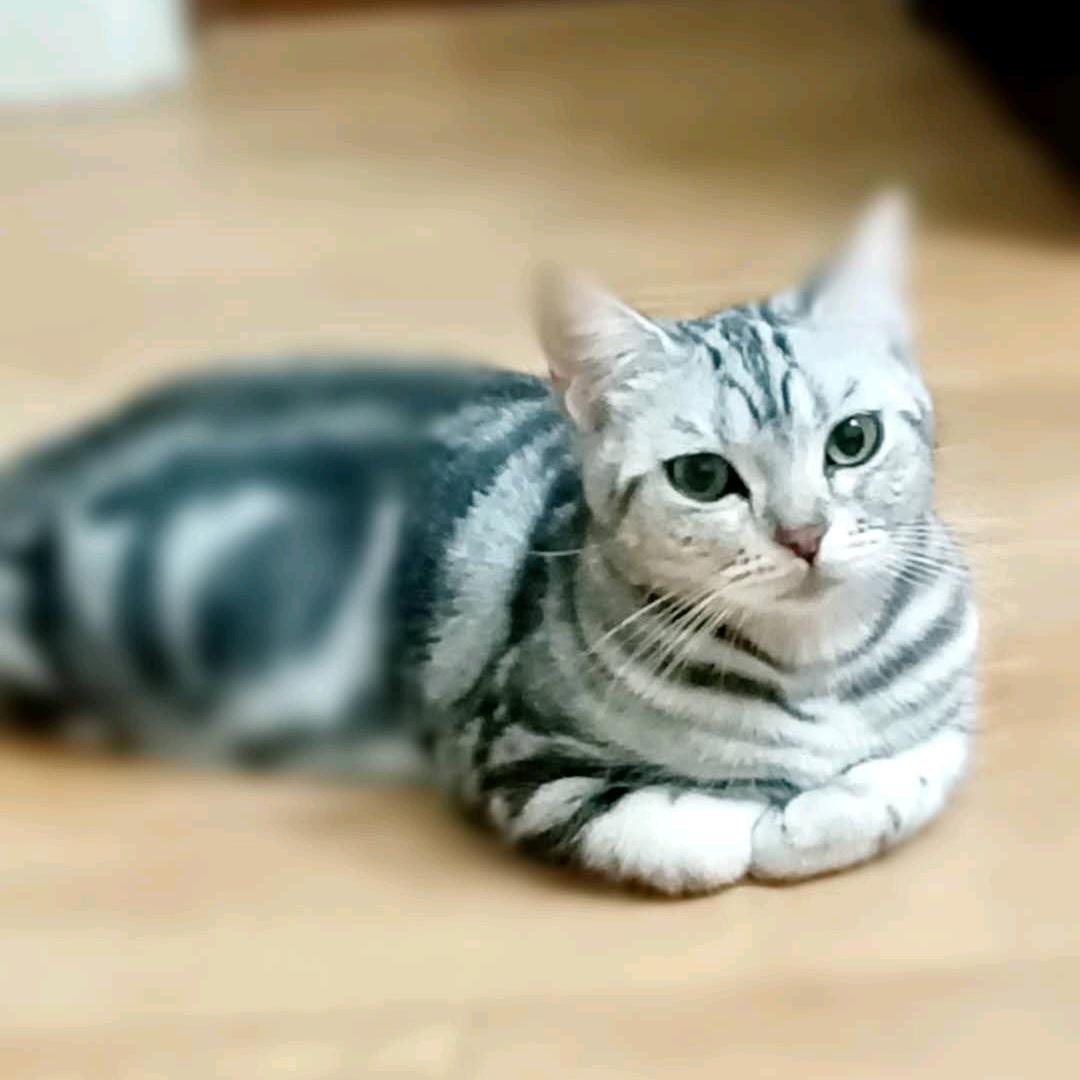 丢了骄傲、 要怎么坚强