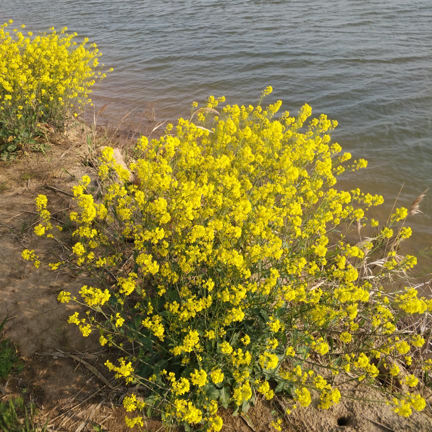 不忘初心❤️❤️❤️❤️