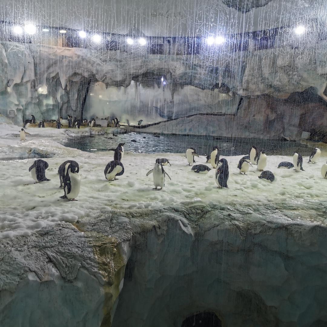 你是风我不是沙