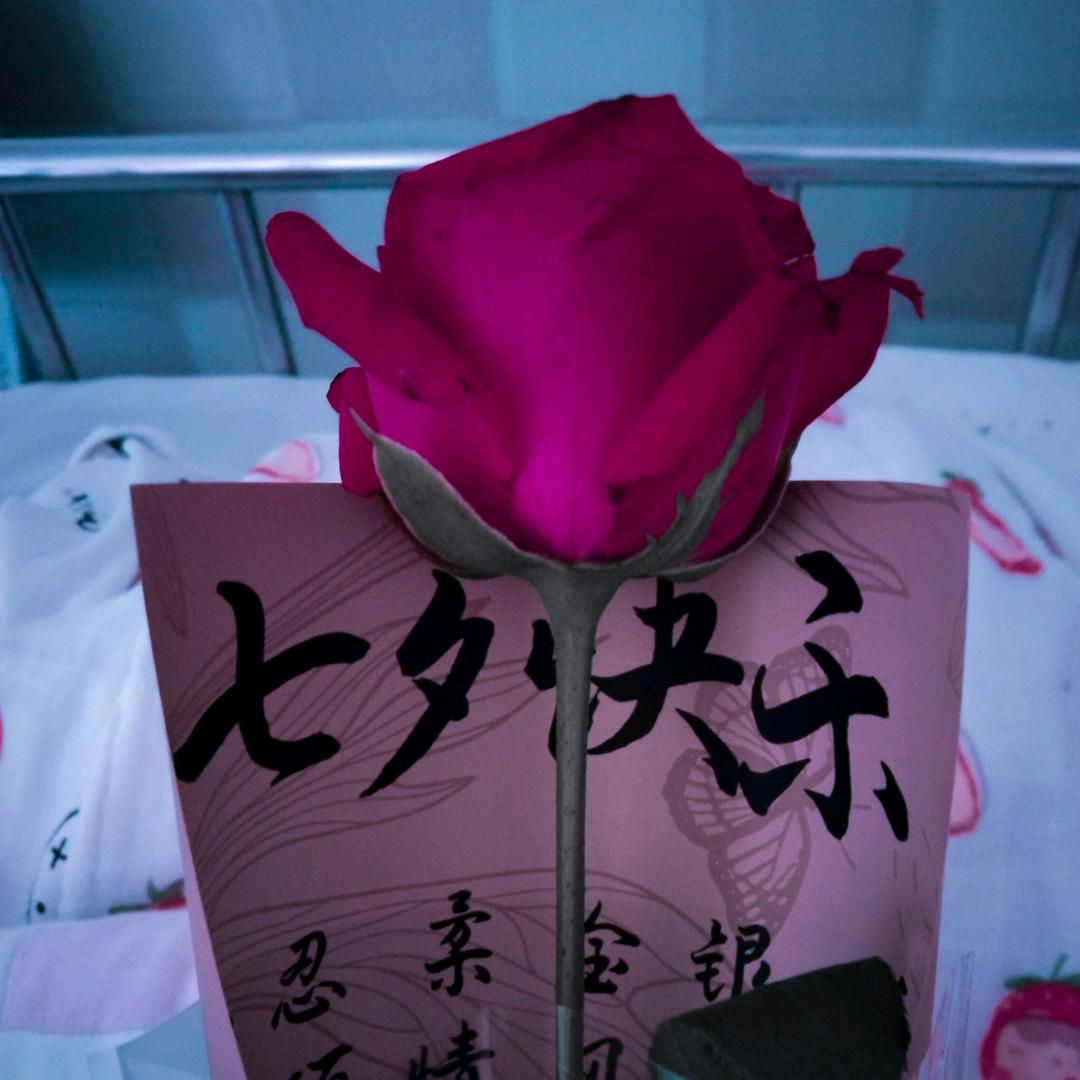 听闻、远方有你