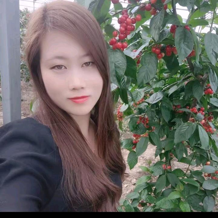 相遇千年。有缘见。