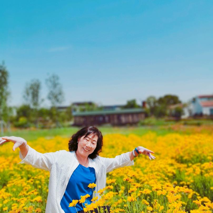 兰花草