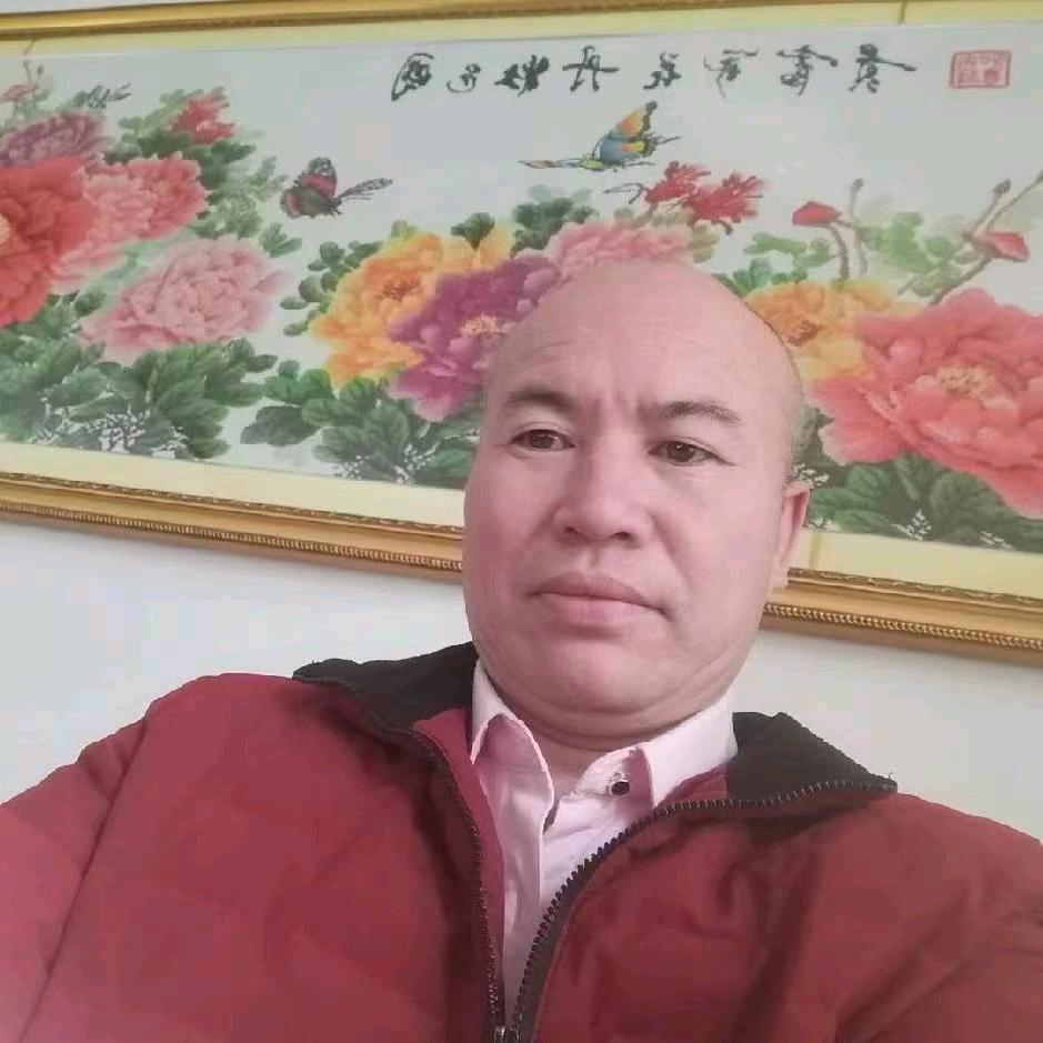 龙的无奈———河南平顶山