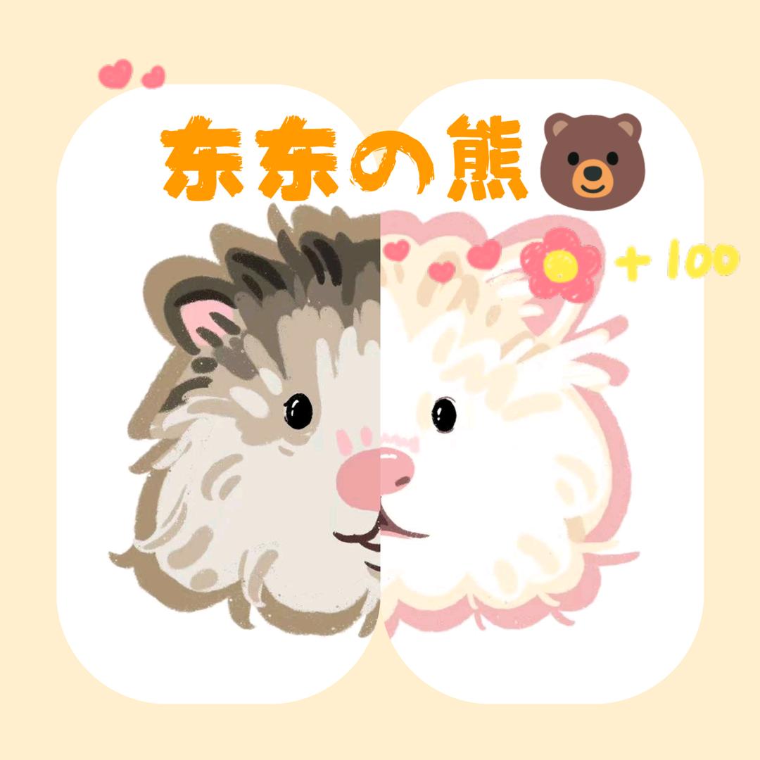 东东の熊🐻