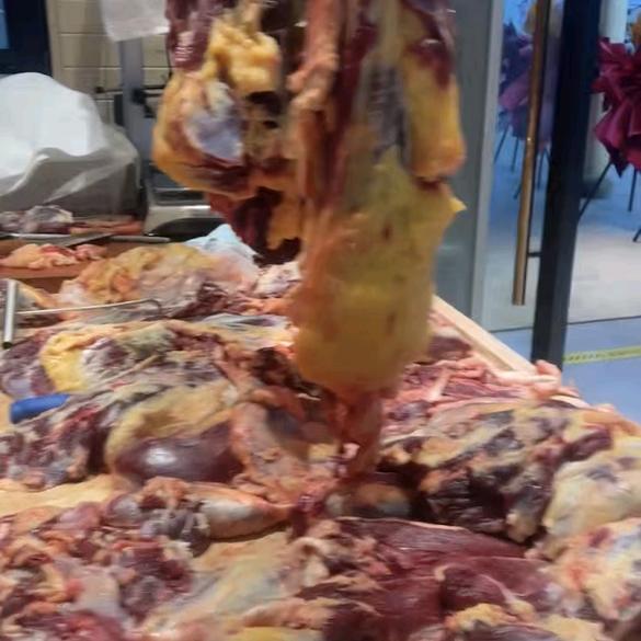 金华肥母牛肉配送
