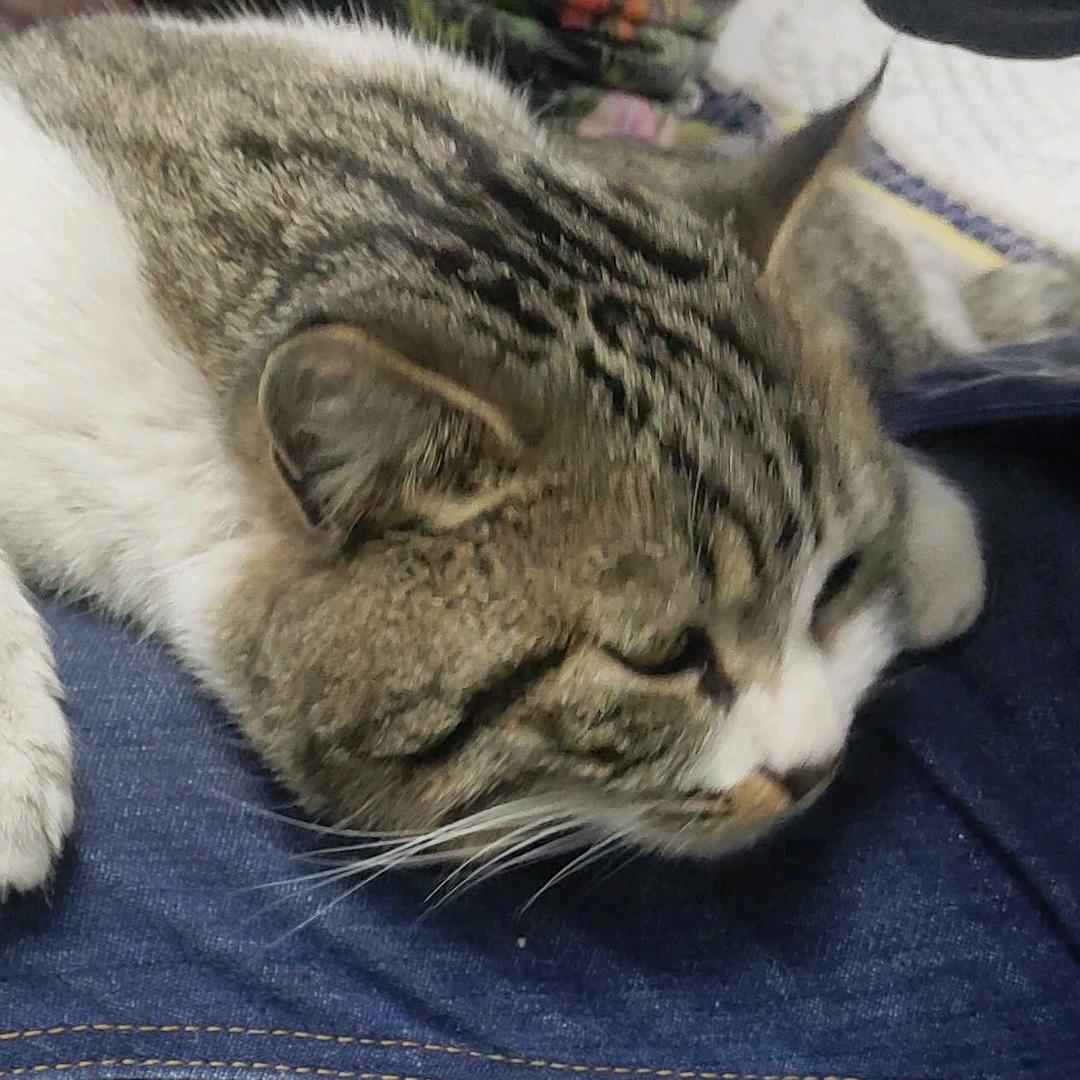 少年说她很阿gei