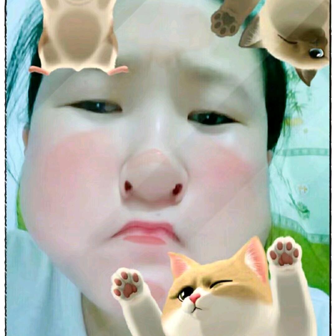 一千个饭桶的理由