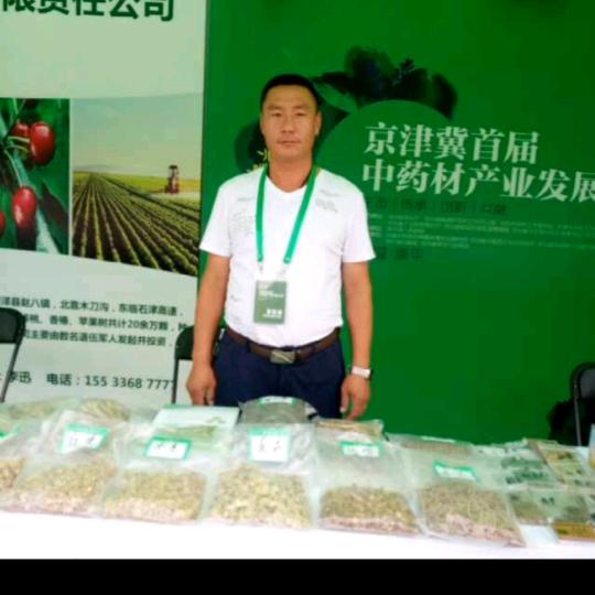 安国市千苗汇中药材种植技术指导