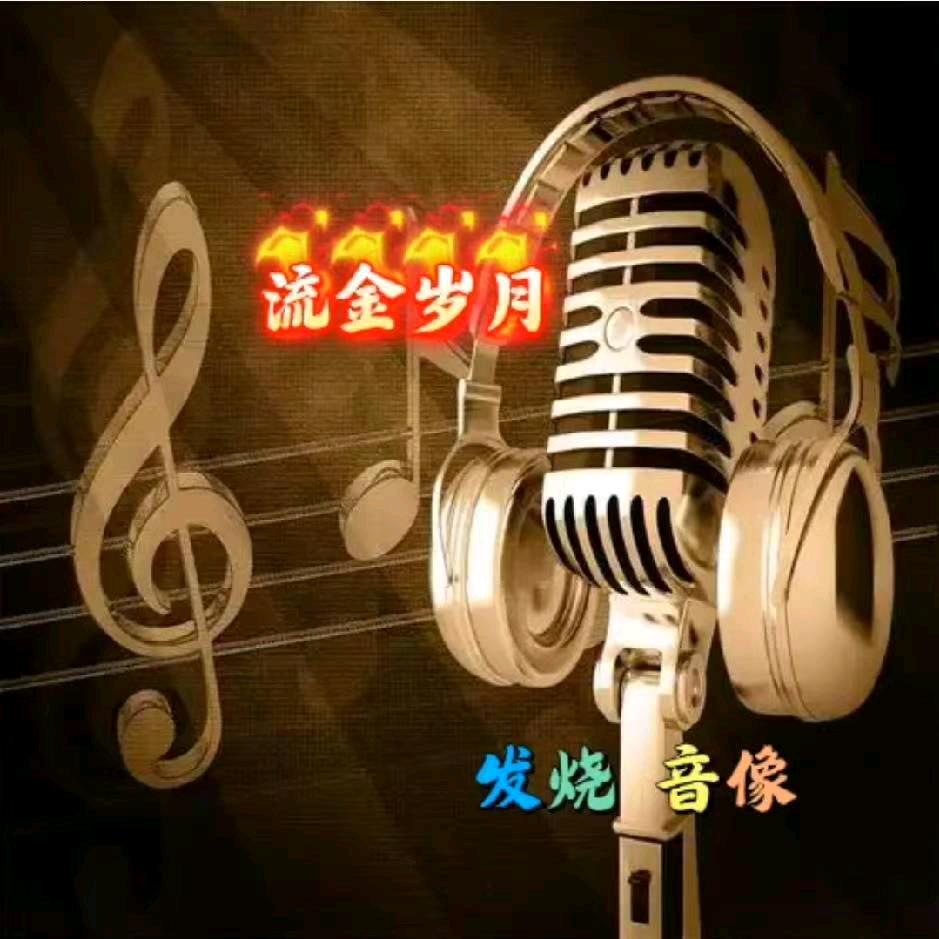 流金岁月~发烧音像