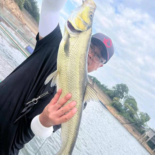 西山北影🎣