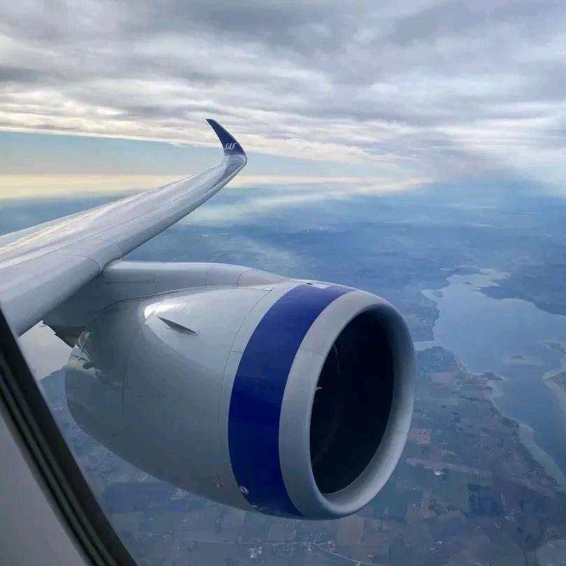 空白一生