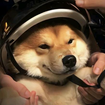 讨厌黑眼圈(ू˃̣̣̣̣̣̣︿˂̣̣̣̣