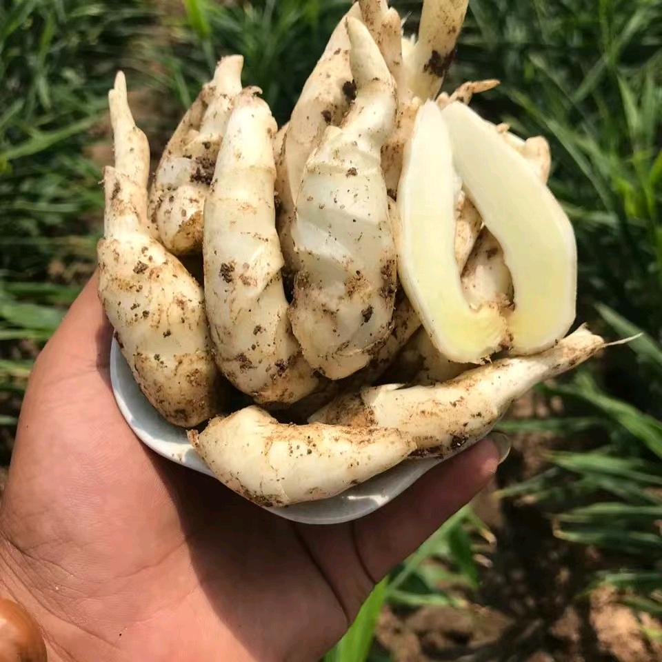 三姊妹农副产品严选铺子