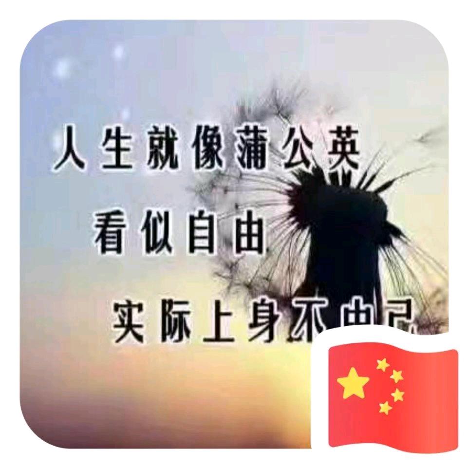 月亮姐姐👨‍❤️‍👨👨‍❤️‍👨