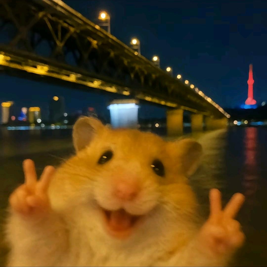 一坨狗屎