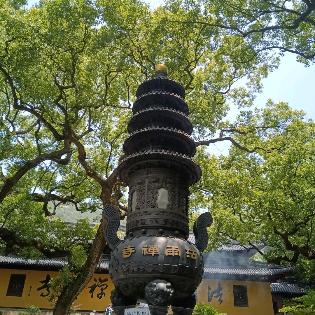 芷廿