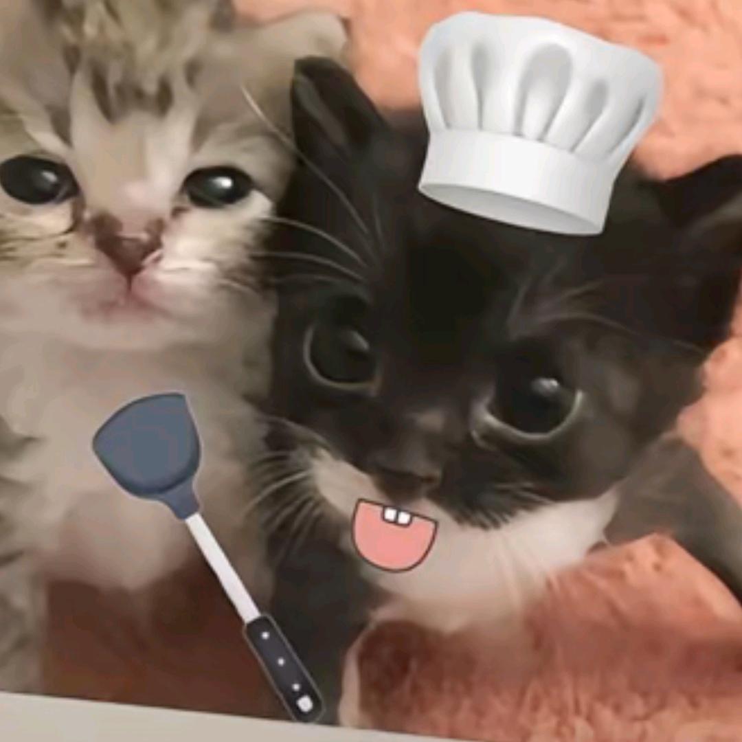 琦琦控 ꒰ᐢ. .ᐢ꒱₊˚