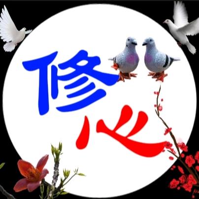 修心快乐鸟