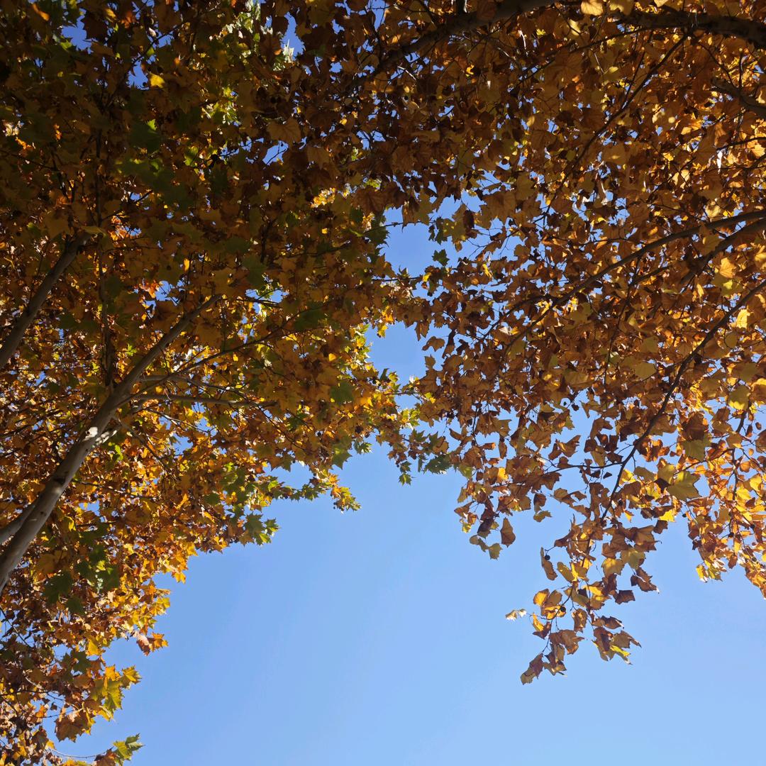 容不得你在此聒噪