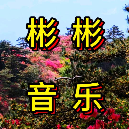 彬彬～音乐