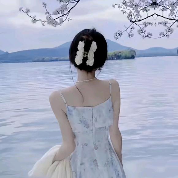 琴琴