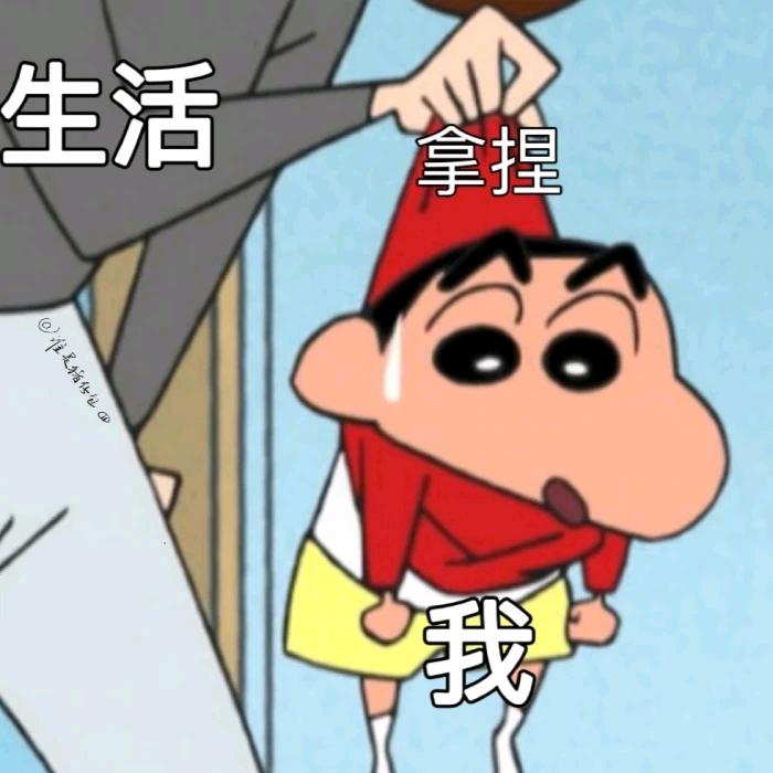 柿柿如意·