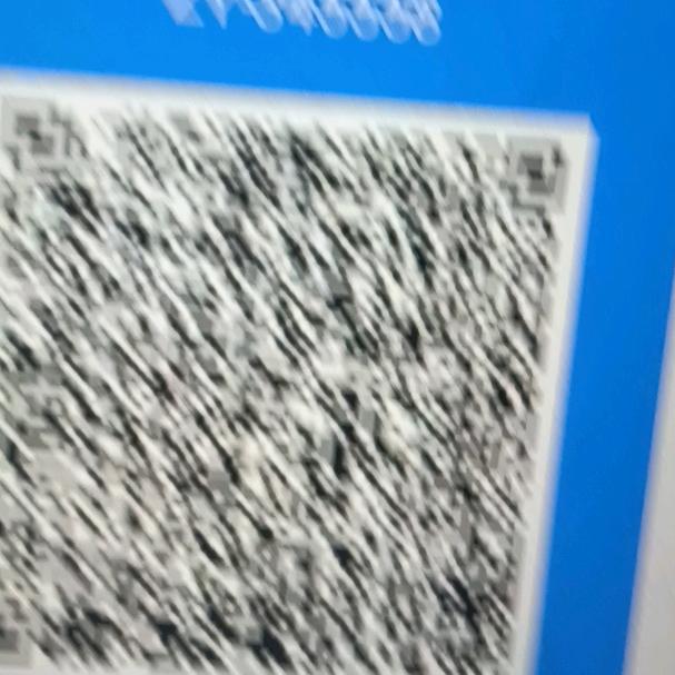 王平元
