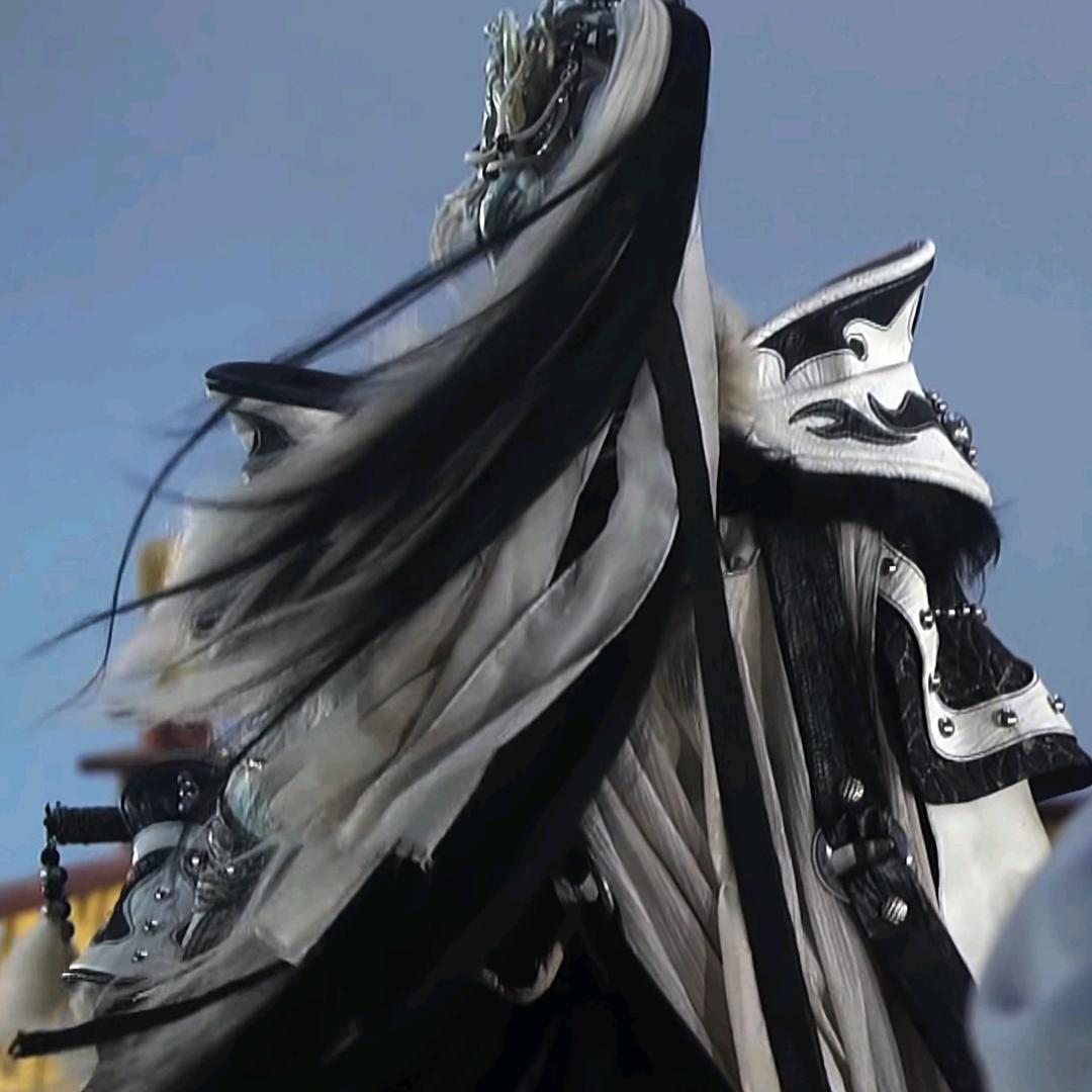 黑白郎君的马尾儿