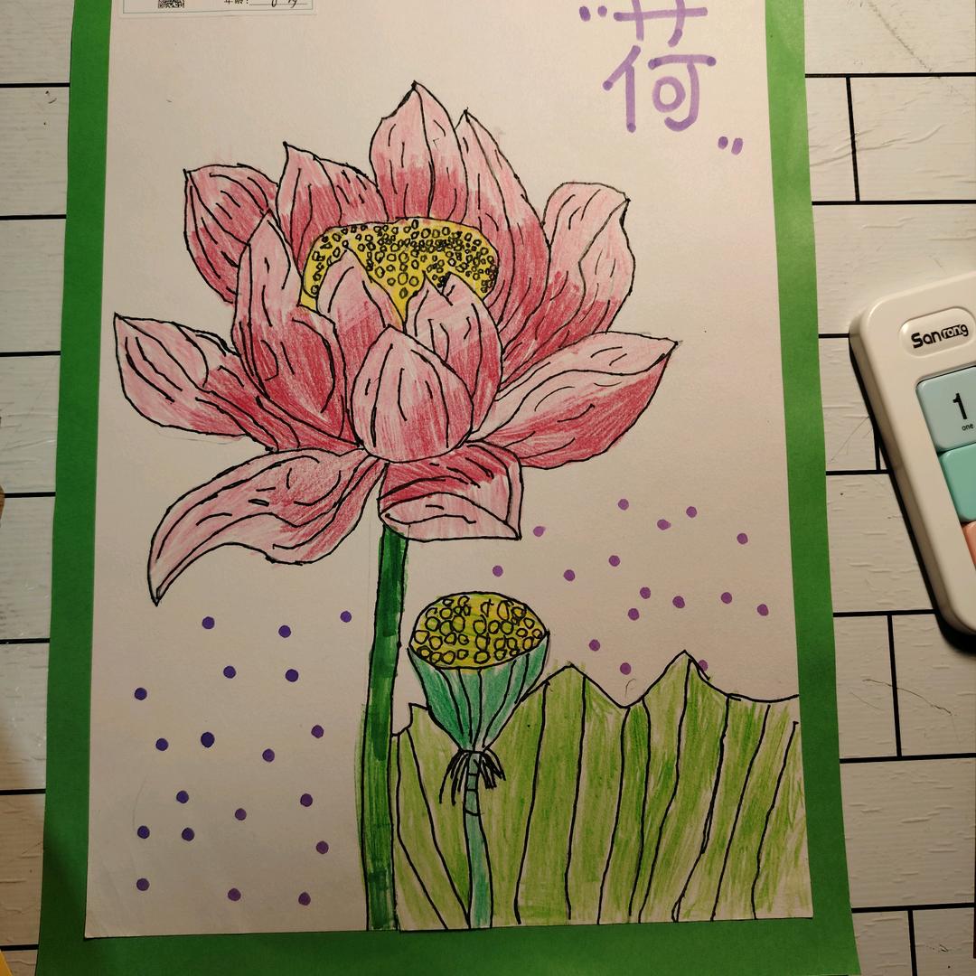 阳光扑面来