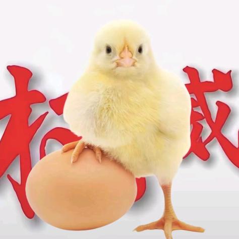 咯咯哒