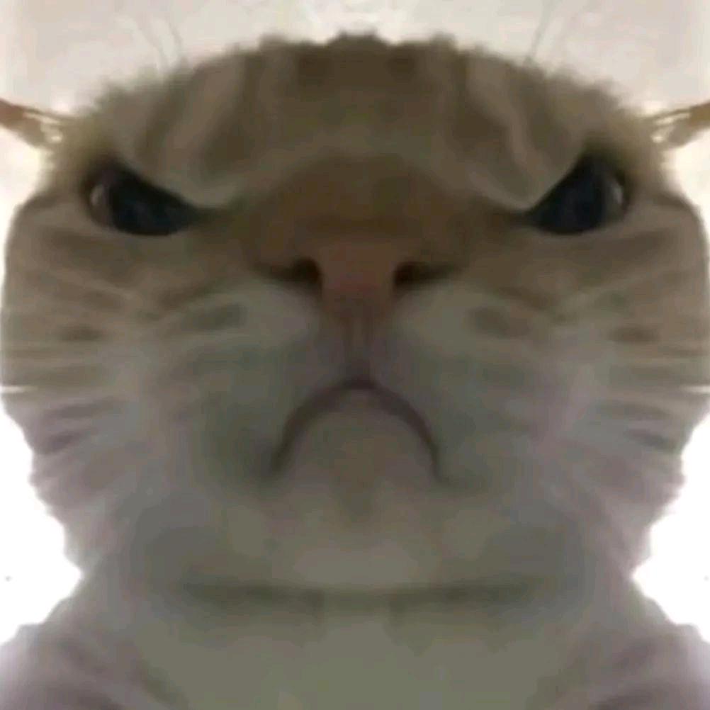 山体腕力