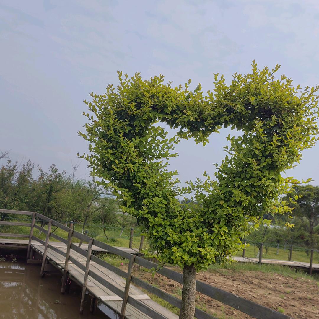 胡李💑糊涂(｡･ω･｡)ﾉ♡