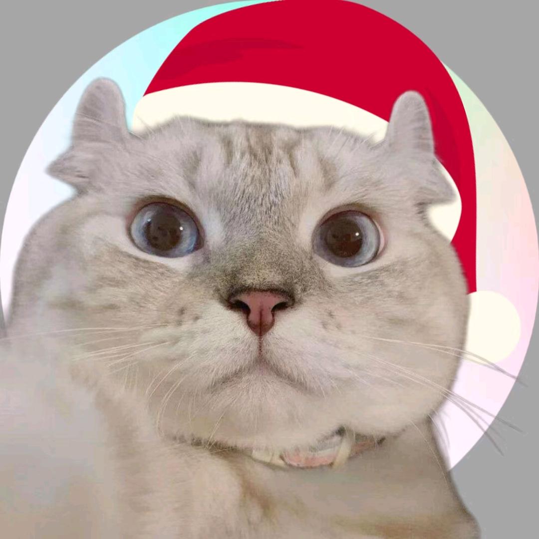 斗虎的老猫