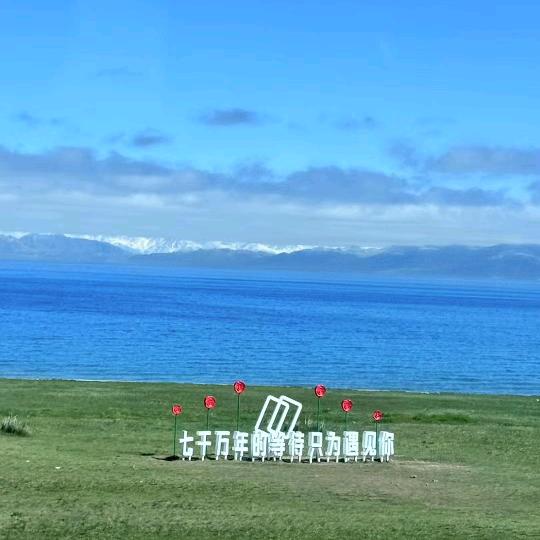 梅梅吖（聚光）