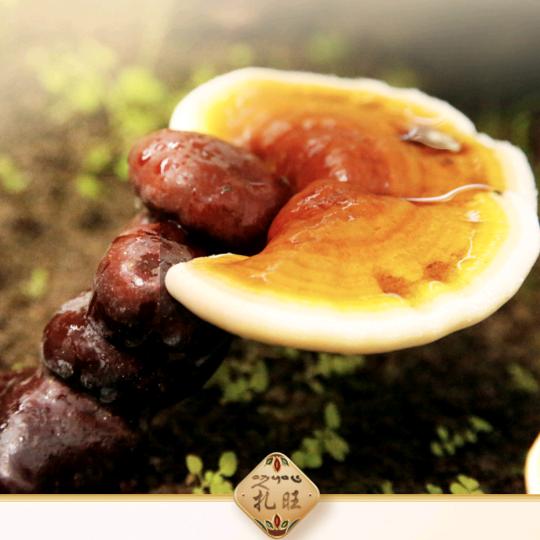 西藏扎旺生物科技有限公司企业店