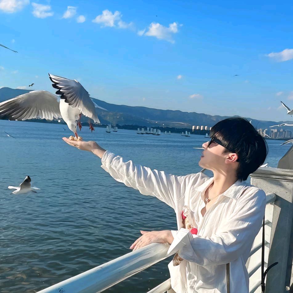 只会按快门📷
