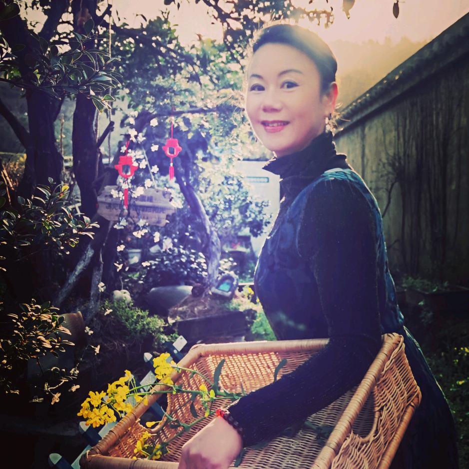 舟山 何红意