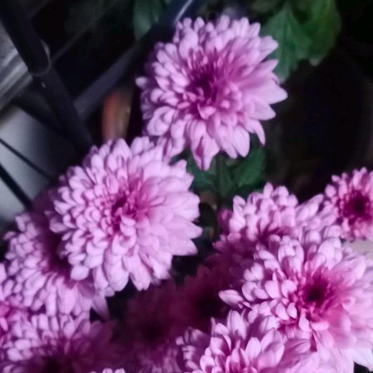 不与岁月争久远