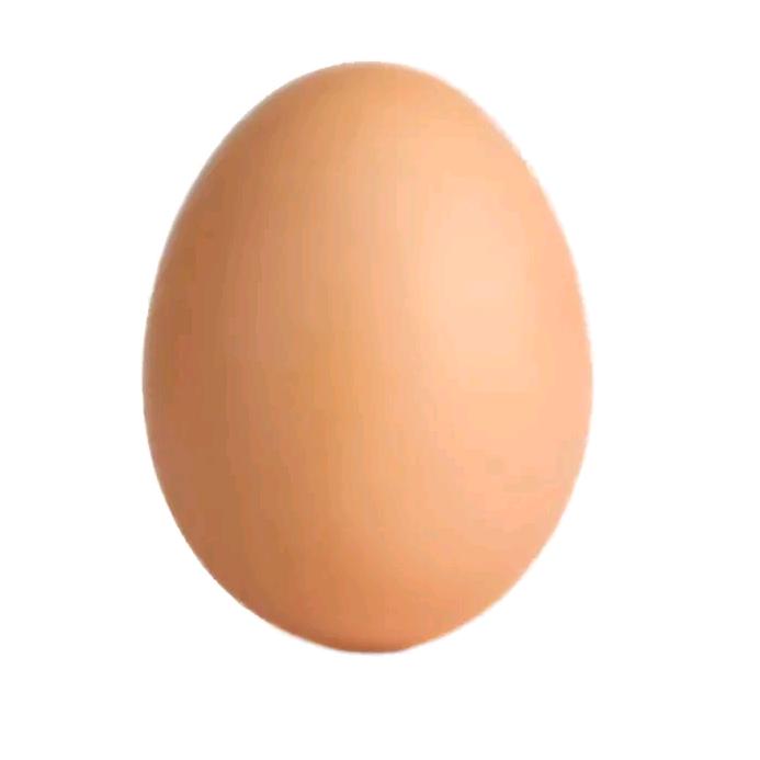 蛋