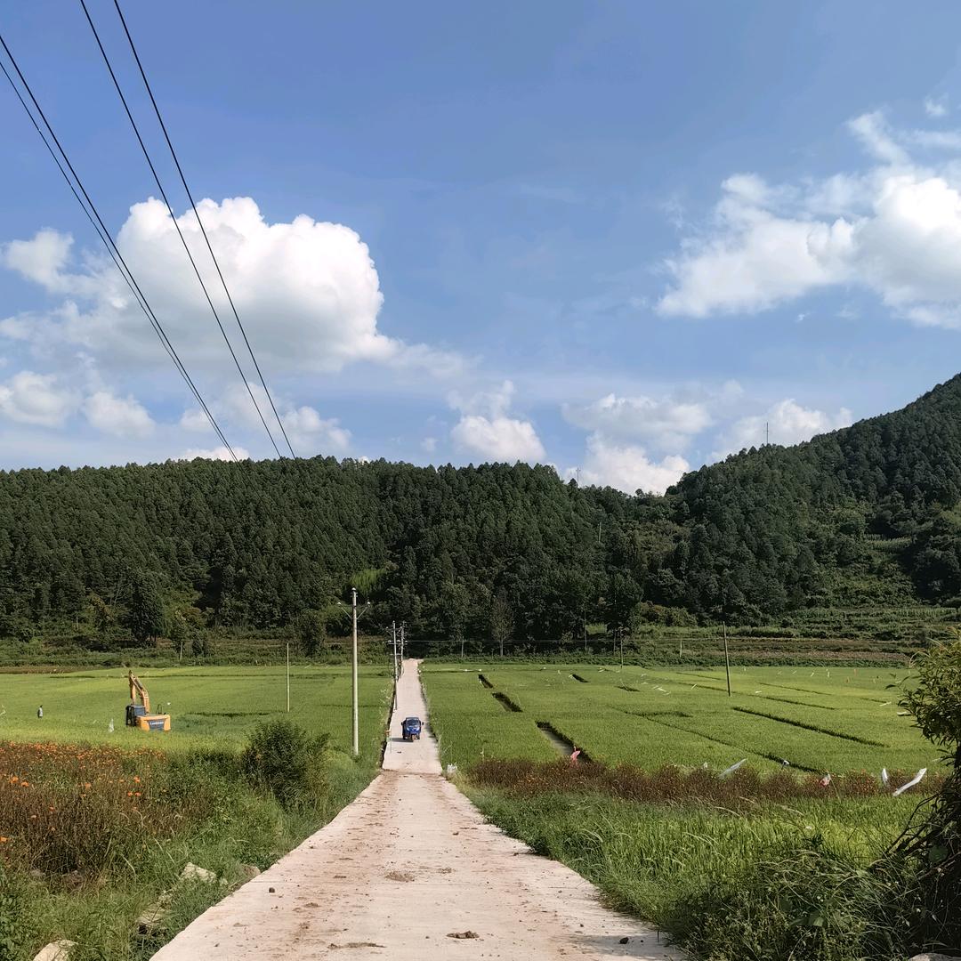 李家村（小雯生活号）
